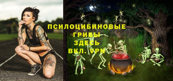 дмт Нея