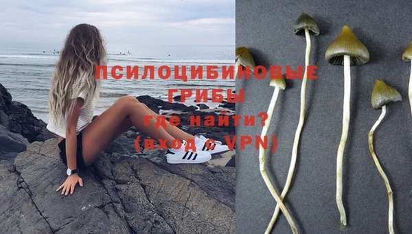 дмт Нея