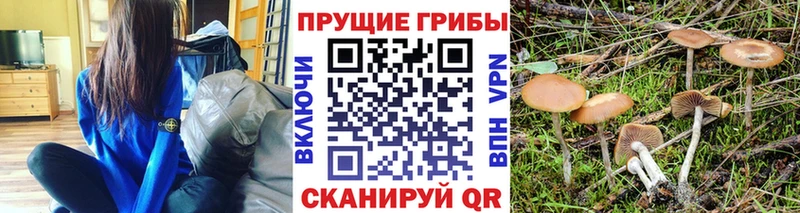 Галлюциногенные грибы Magic Shrooms  kraken ссылки  Красноуральск 